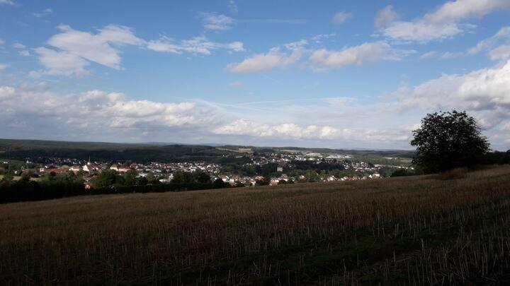 Goldsteig-Einzelzimmer Windischeschenbach Экстерьер фото